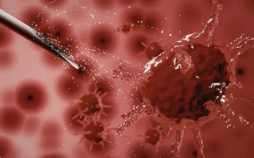 Cancer Tumor Detection