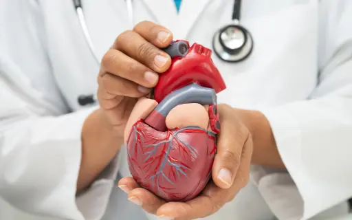 Cardiovascular Health Risks