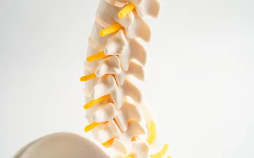Spine Disc Conditions