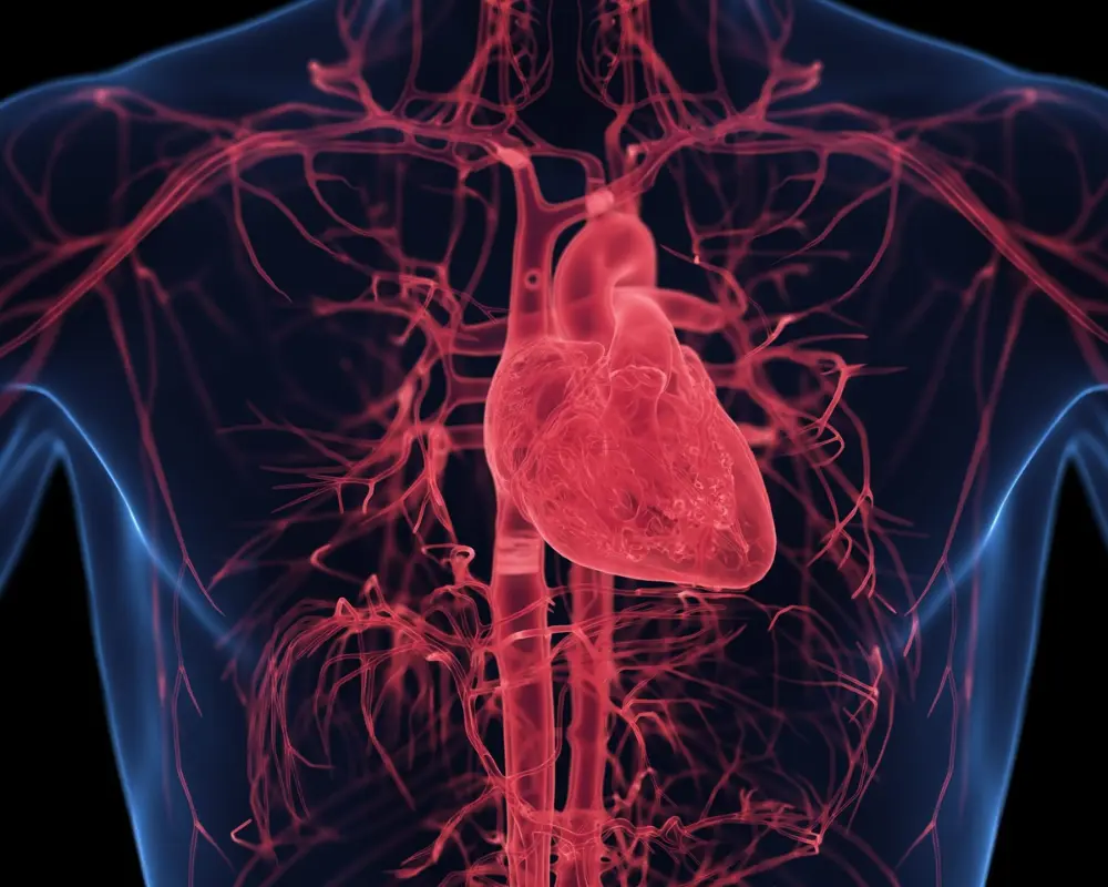 Cardiomyopathy Check