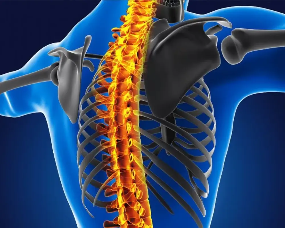 Degenerative Disc Disease