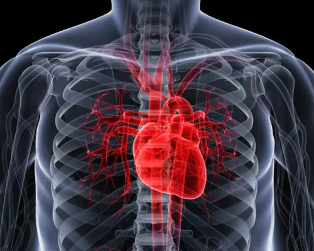 Heart Muscle Damage