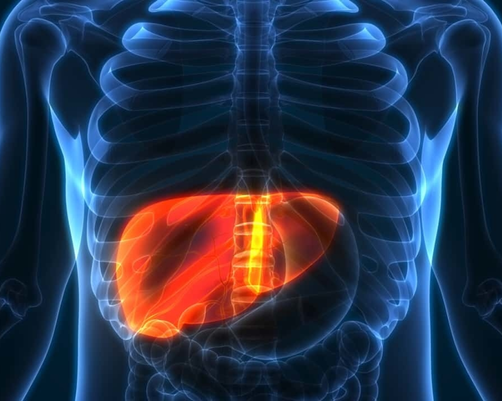 Liver Disease and Lesions