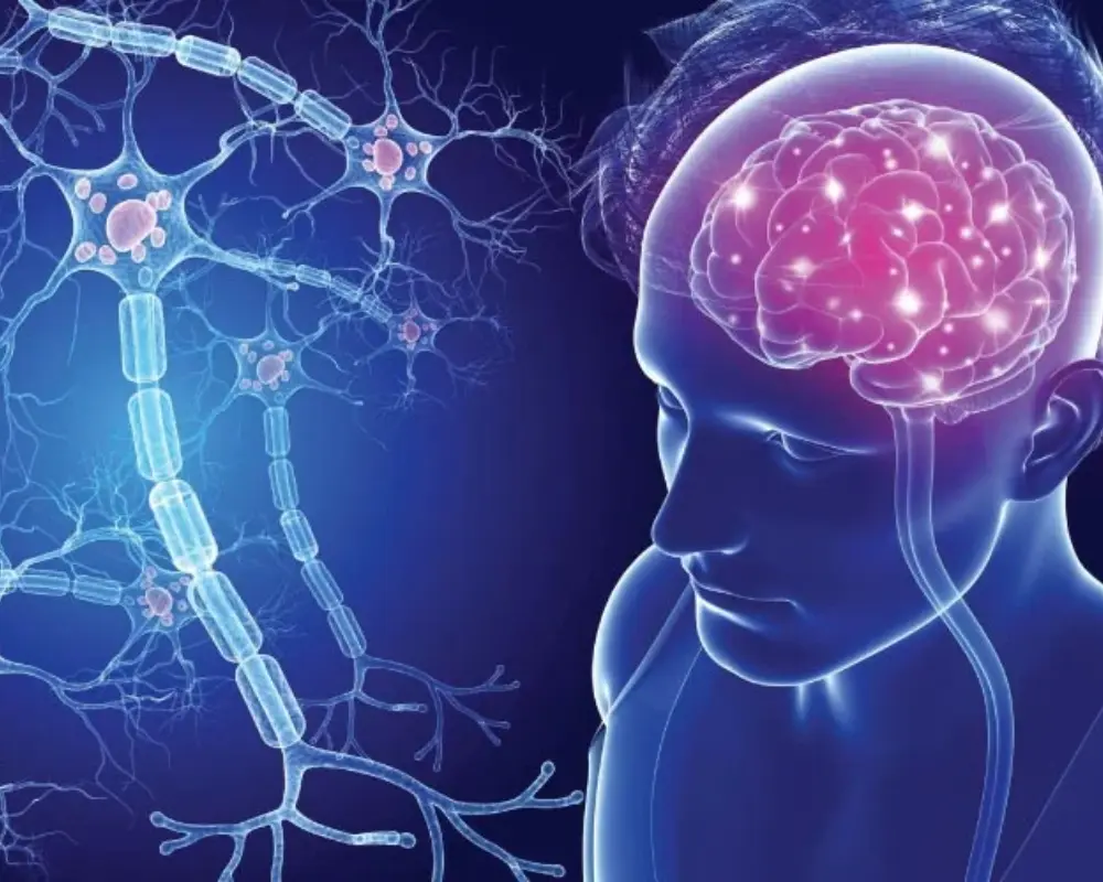 Multiple Sclerosis (MS)