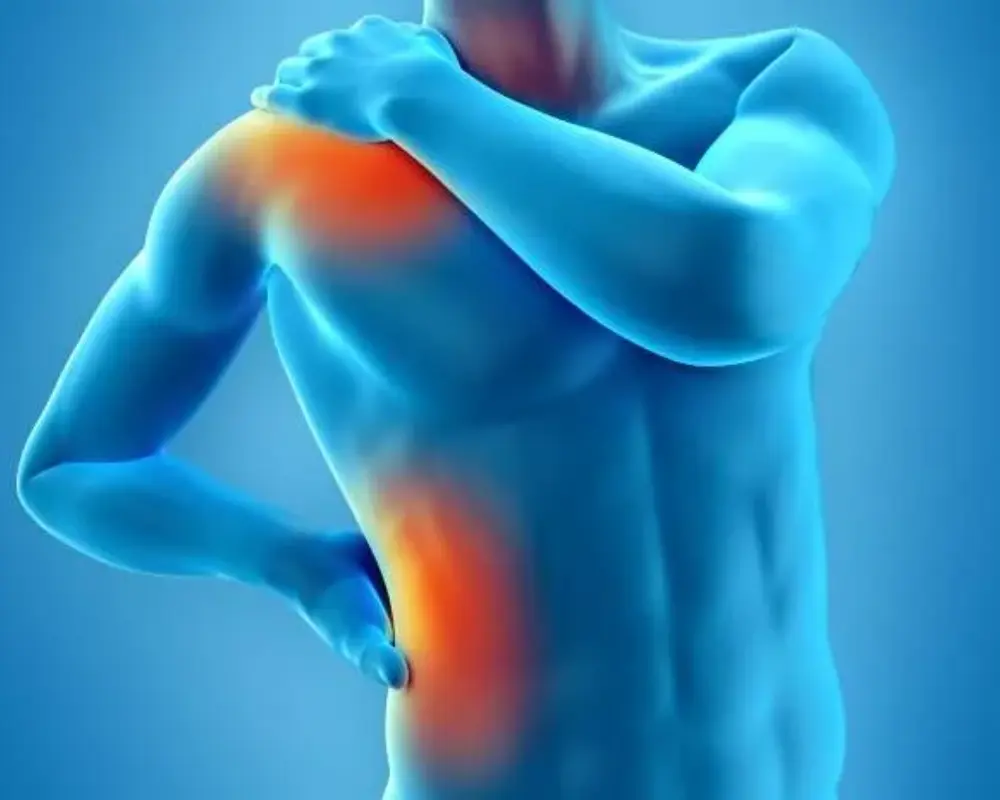 Muscle and Tissue Damage