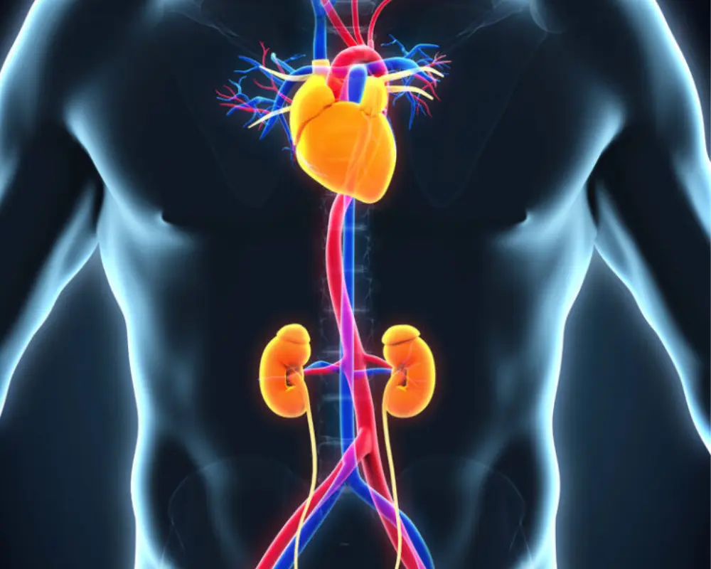 Aortic Aneurysm