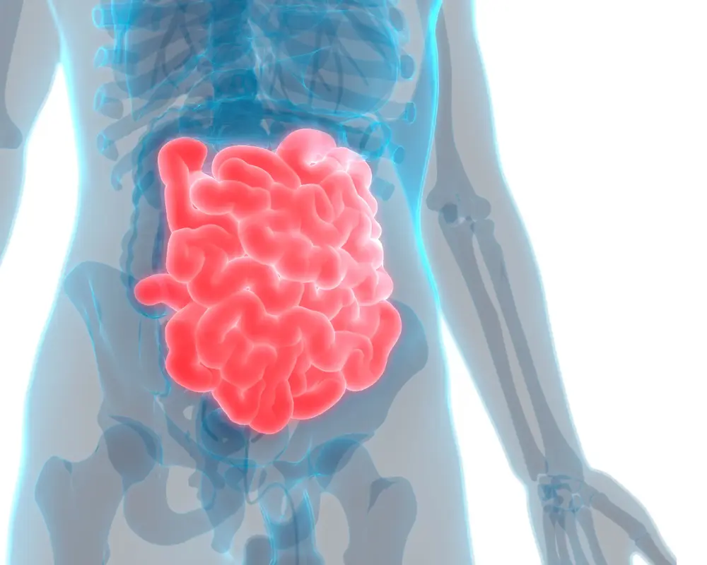 Small Bowel Bleeding
